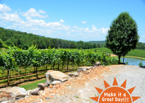 plan a long walk for Valentine's Day, Make it a Great day at the Vineyards